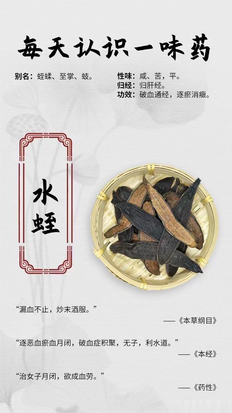 #国医的精诚力量##每天一味中草药##论道岐黄# 【每天认识一味药】[鲜花]水蛭