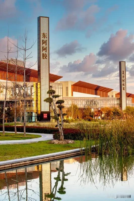 晒出你的本地生活 我家在东阿，这地方可太有特色了。东阿阿胶那是闻名遐迩，走在街上