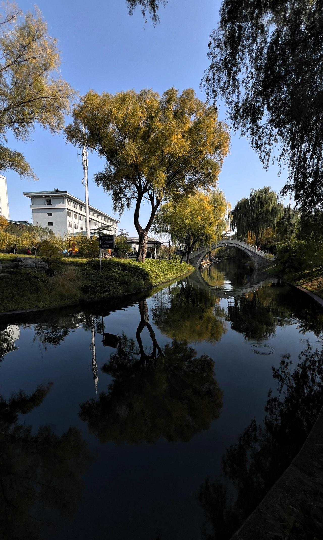 展示你拍的树木照片