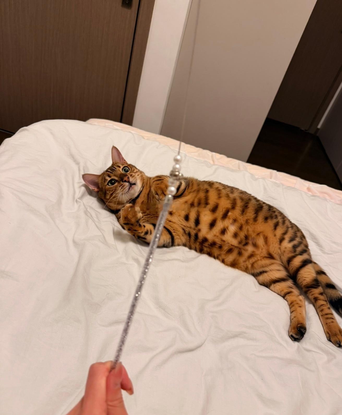 我想我会一直孤单🕯️