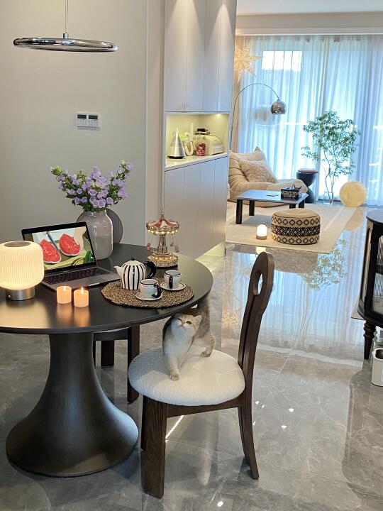 29岁独居，有房有猫🐈有存款，比想象中快乐～