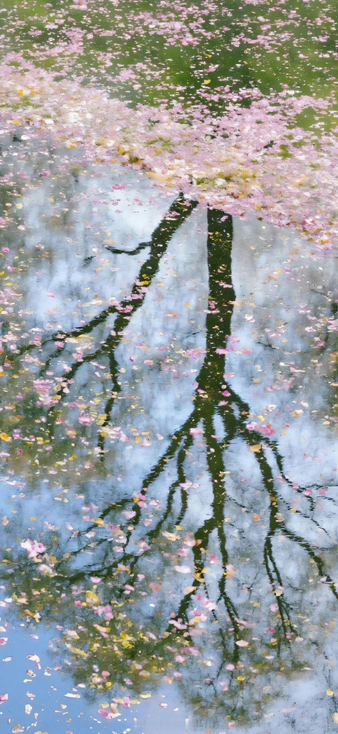 爱是明知故犯，痛中执迷，冥顽不改。——明开夜合《野棠》晚安 言情小说推荐