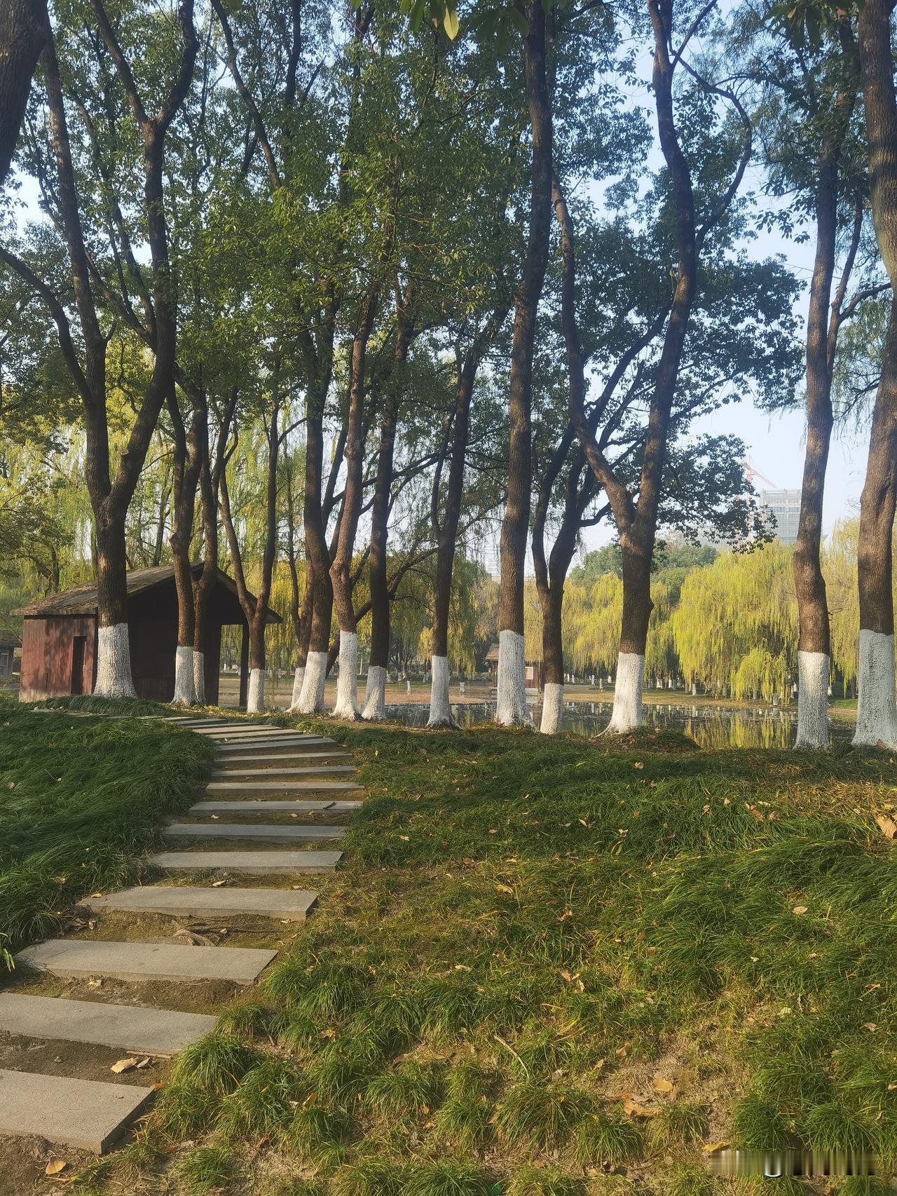 冬日暖阳下公园