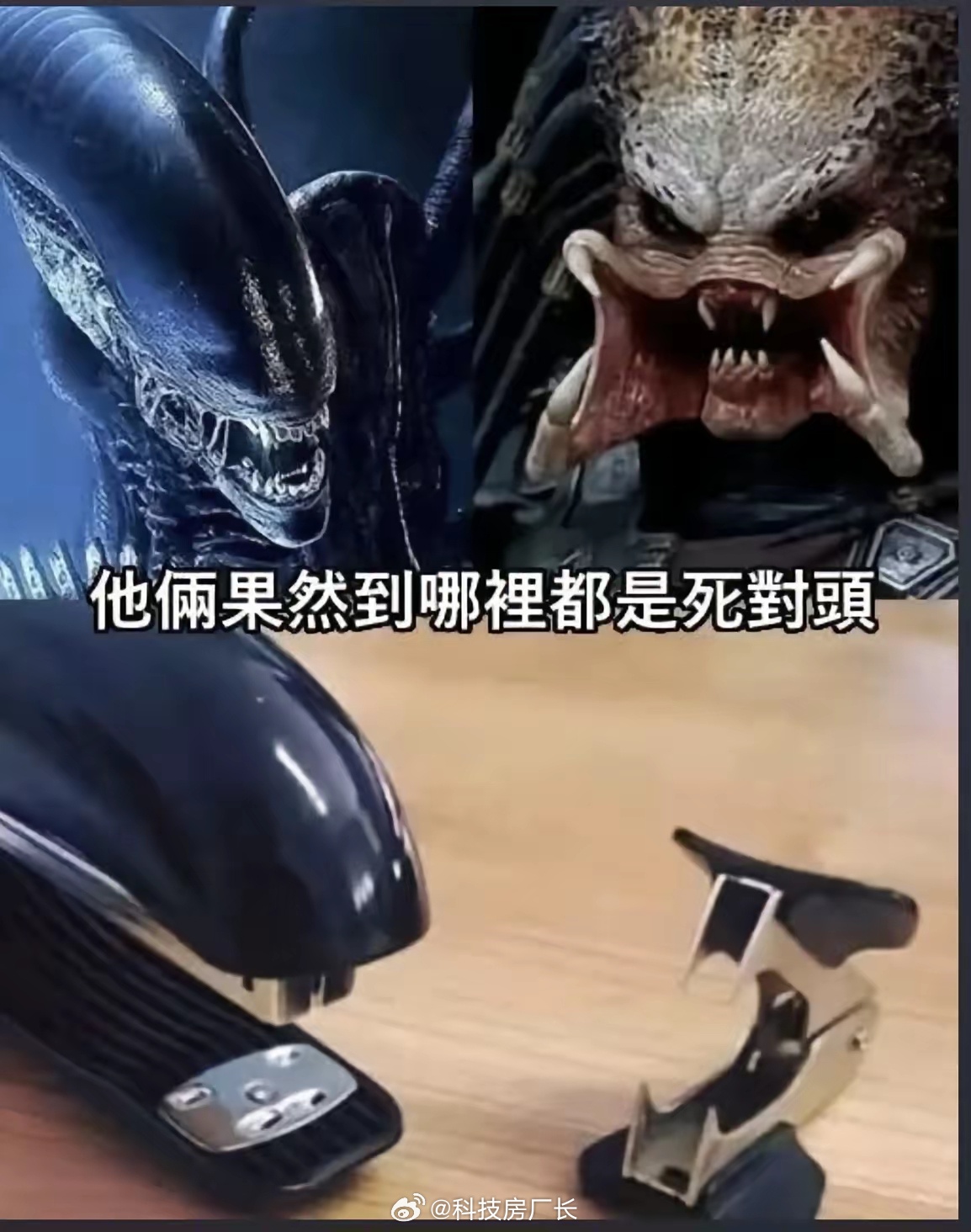 你找到导演的创作灵感了 ​​​