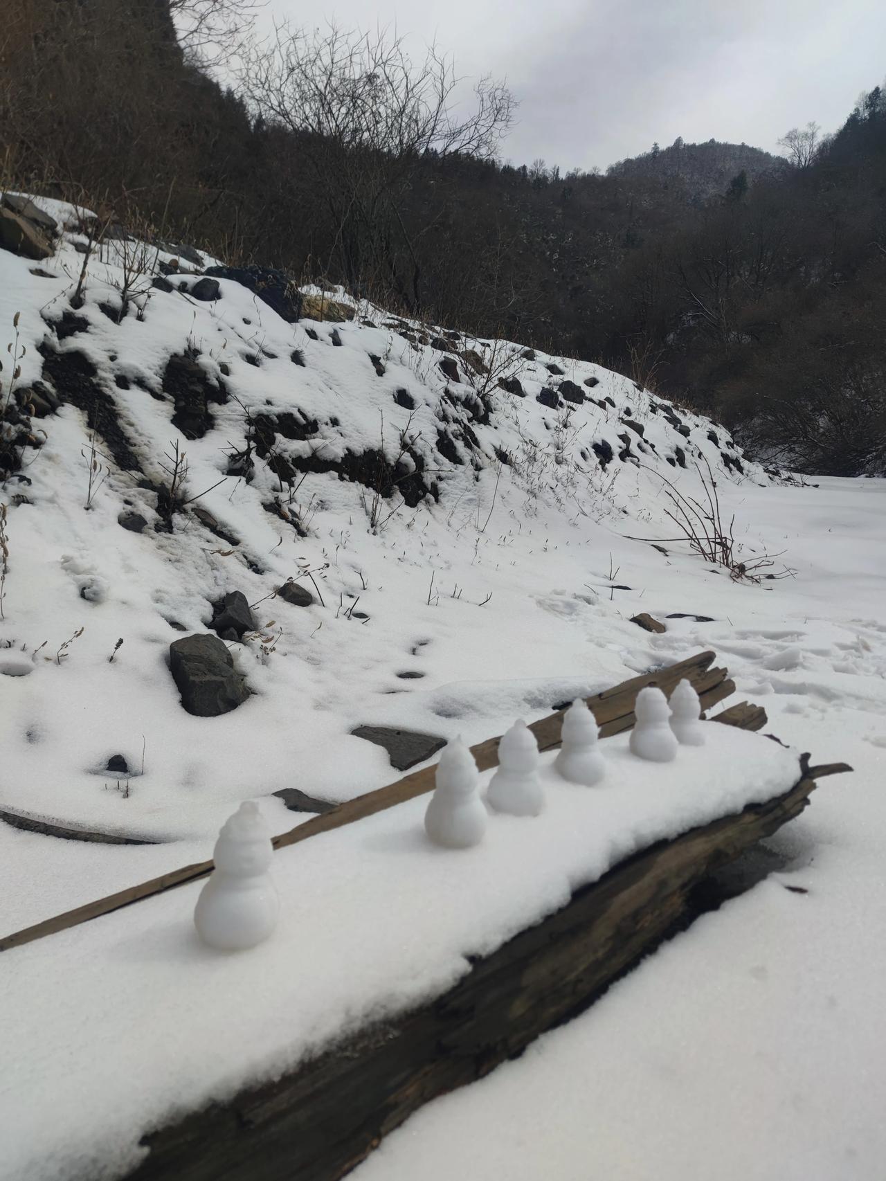 发一张你手机里的风景照冬去春来