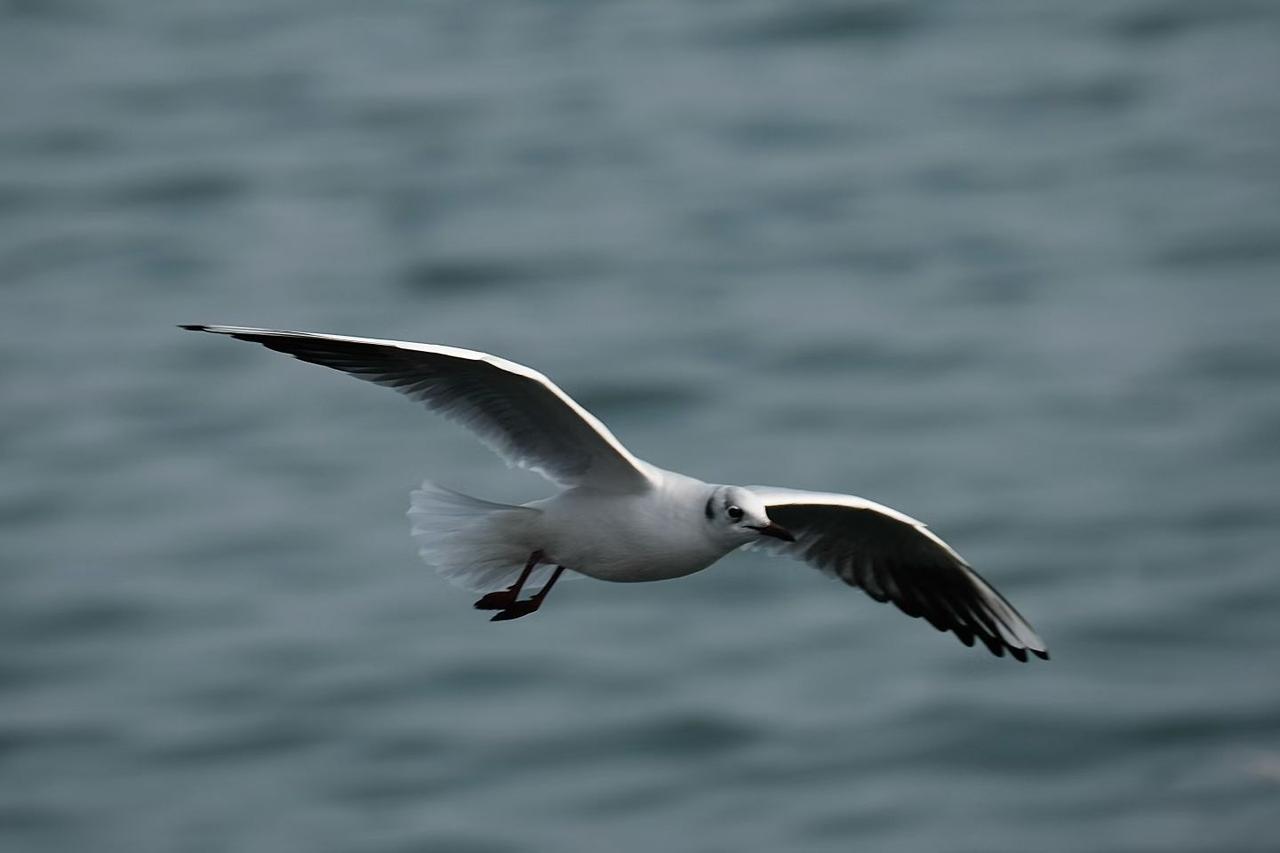 在头条上获赞过万当然开心。这个过万是友友们的驻足目光，这过万不光是数字，而是友友