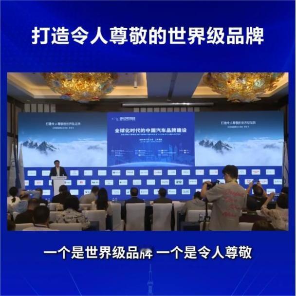 有多难，就多敢！近几年，在出海与全球化这块，中国汽车品牌实力尽显！在2024上半