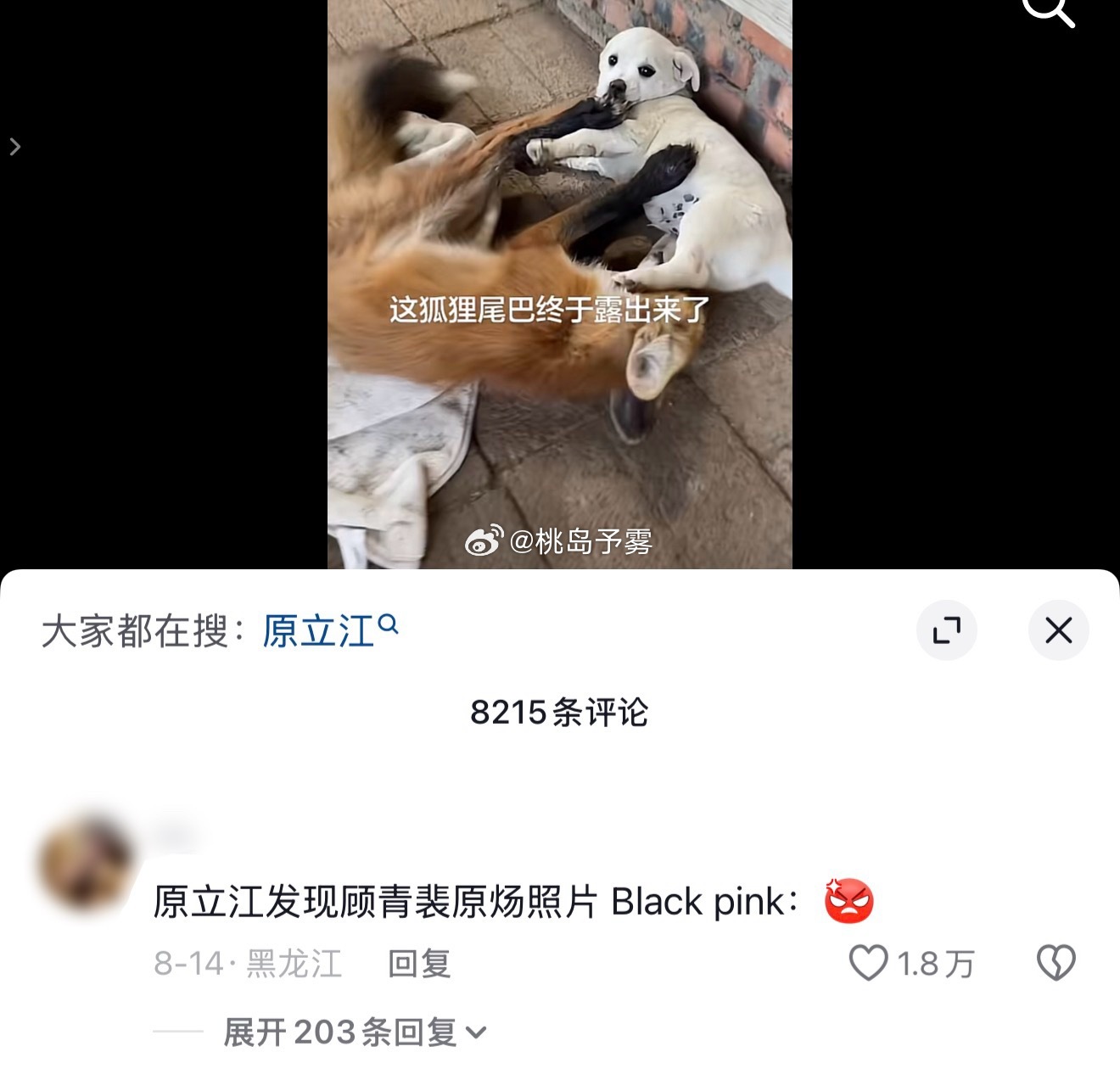 乐死我了这不情景再现吗“这是谁！这是不是你和顾青裴！” ​​​