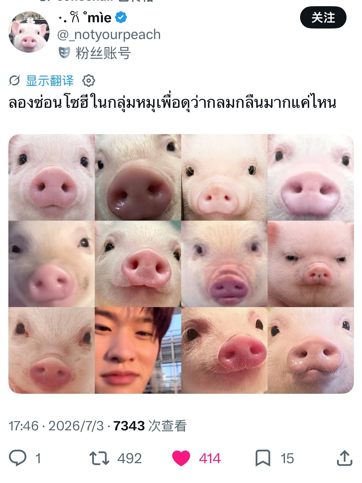 有小猪🐽 
