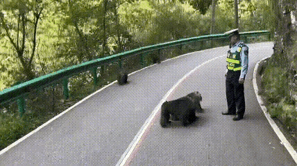这算不算“袭警”？