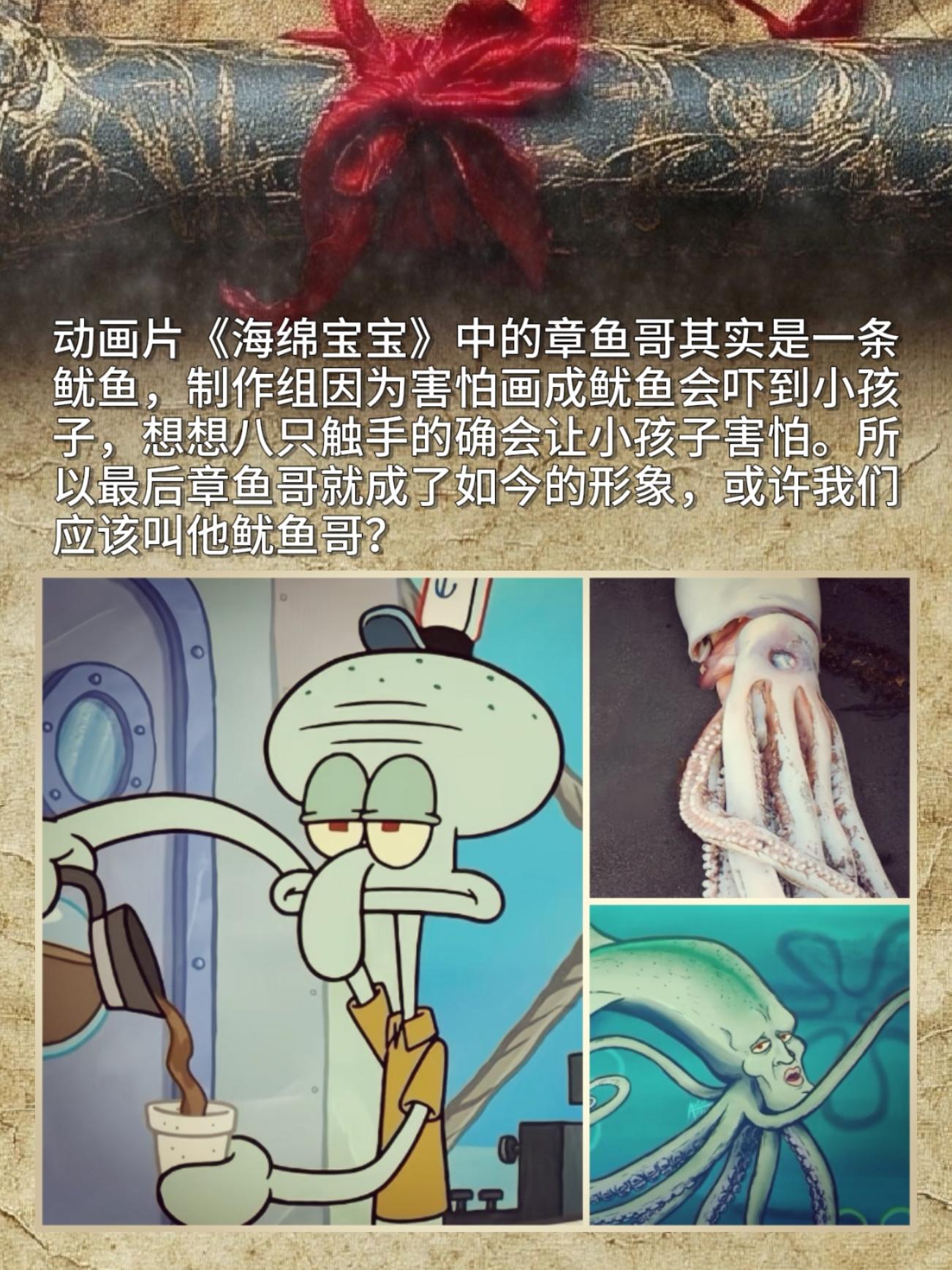 动画片《海绵宝宝》中的章鱼哥其实是一条鱿鱼，制作组因为害怕画成鱿鱼会吓...