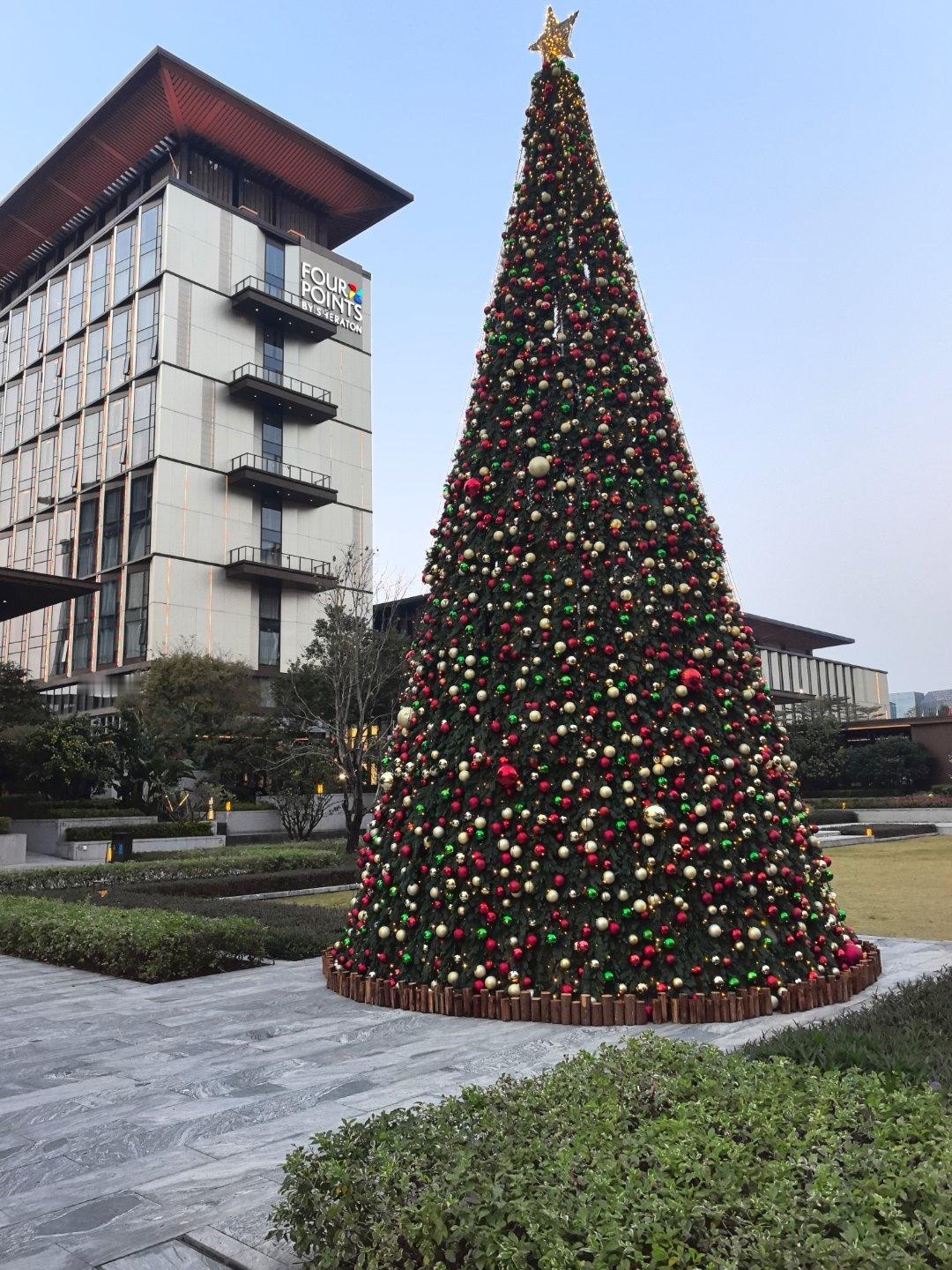 迈瑞克瑞斯马斯🎄🎄🎄！ 