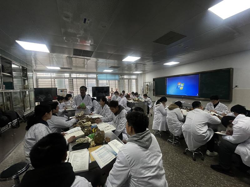 未来五年持续扩招医学本科、医学硕士，加大定向医学生、乡村医学生培养规模。

医学