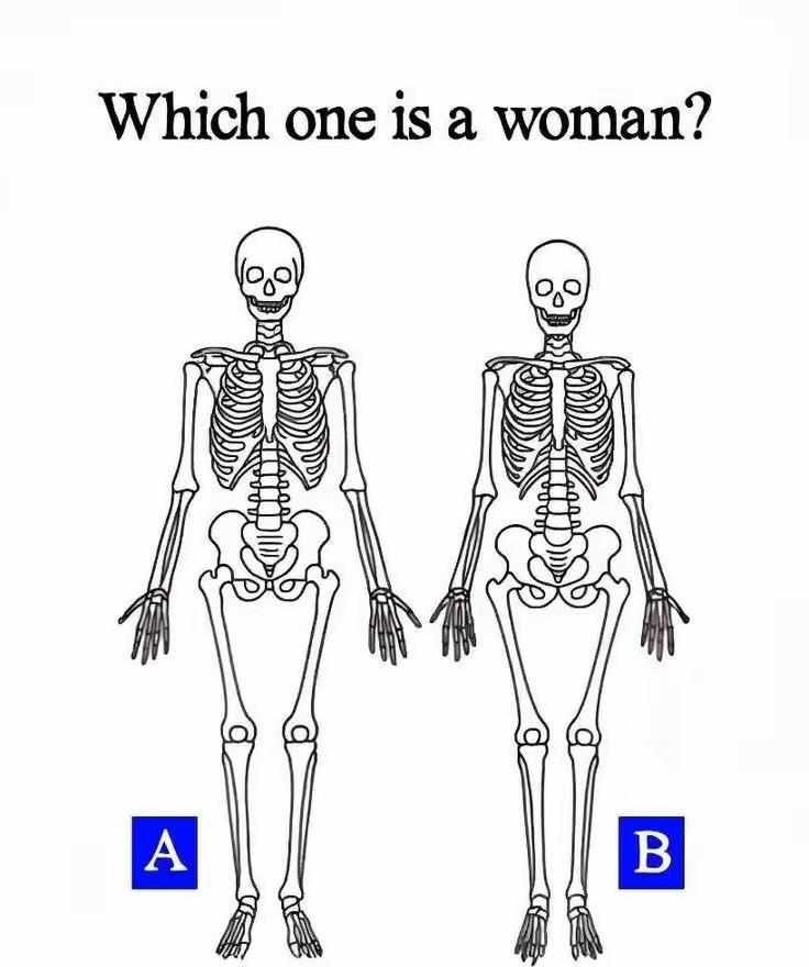 考考你们，A和B. 哪个是男，哪个是女？不吹牛！能看出来的都是高手。