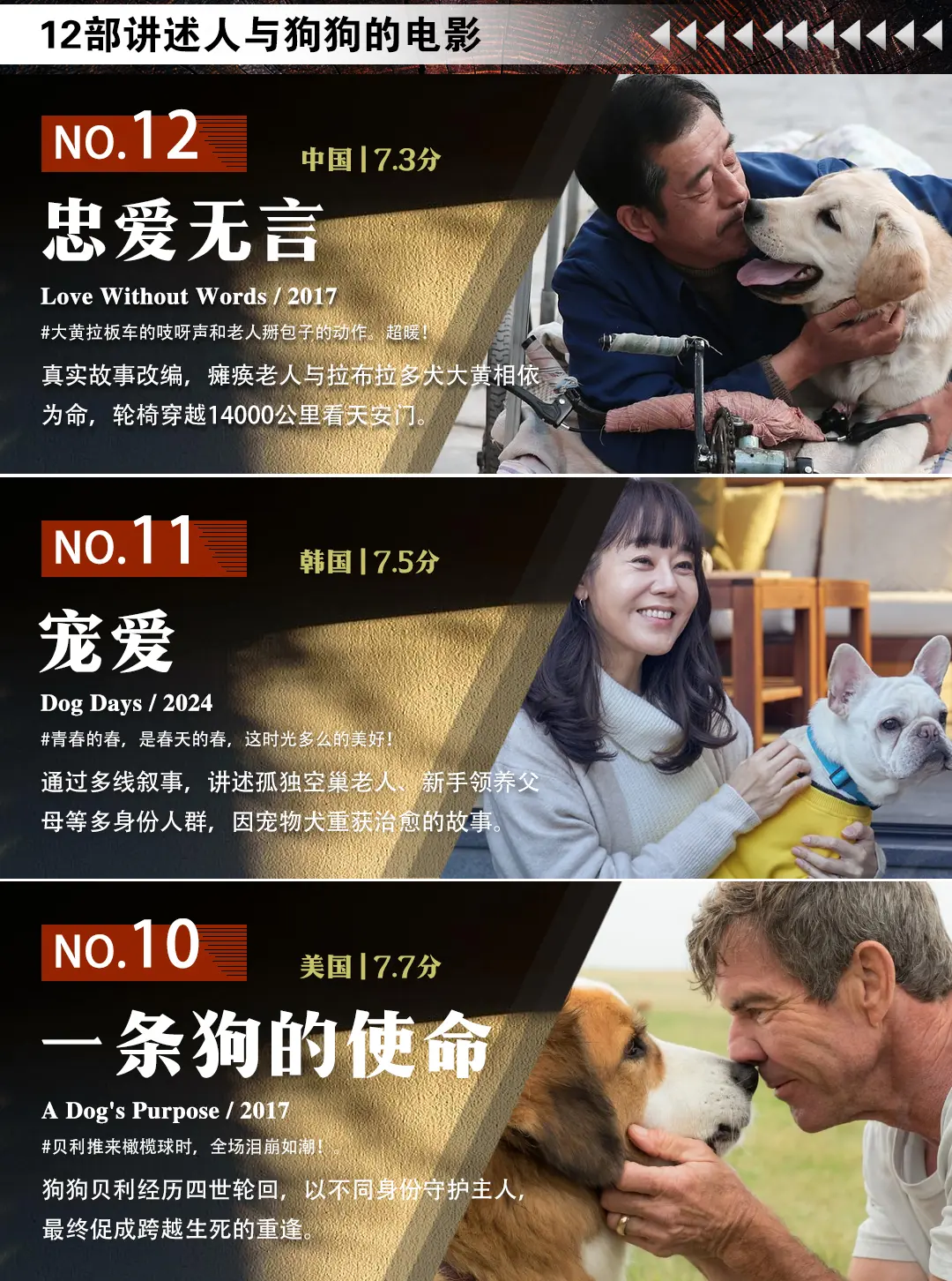 12部让屎官不敢看第二遍的电影