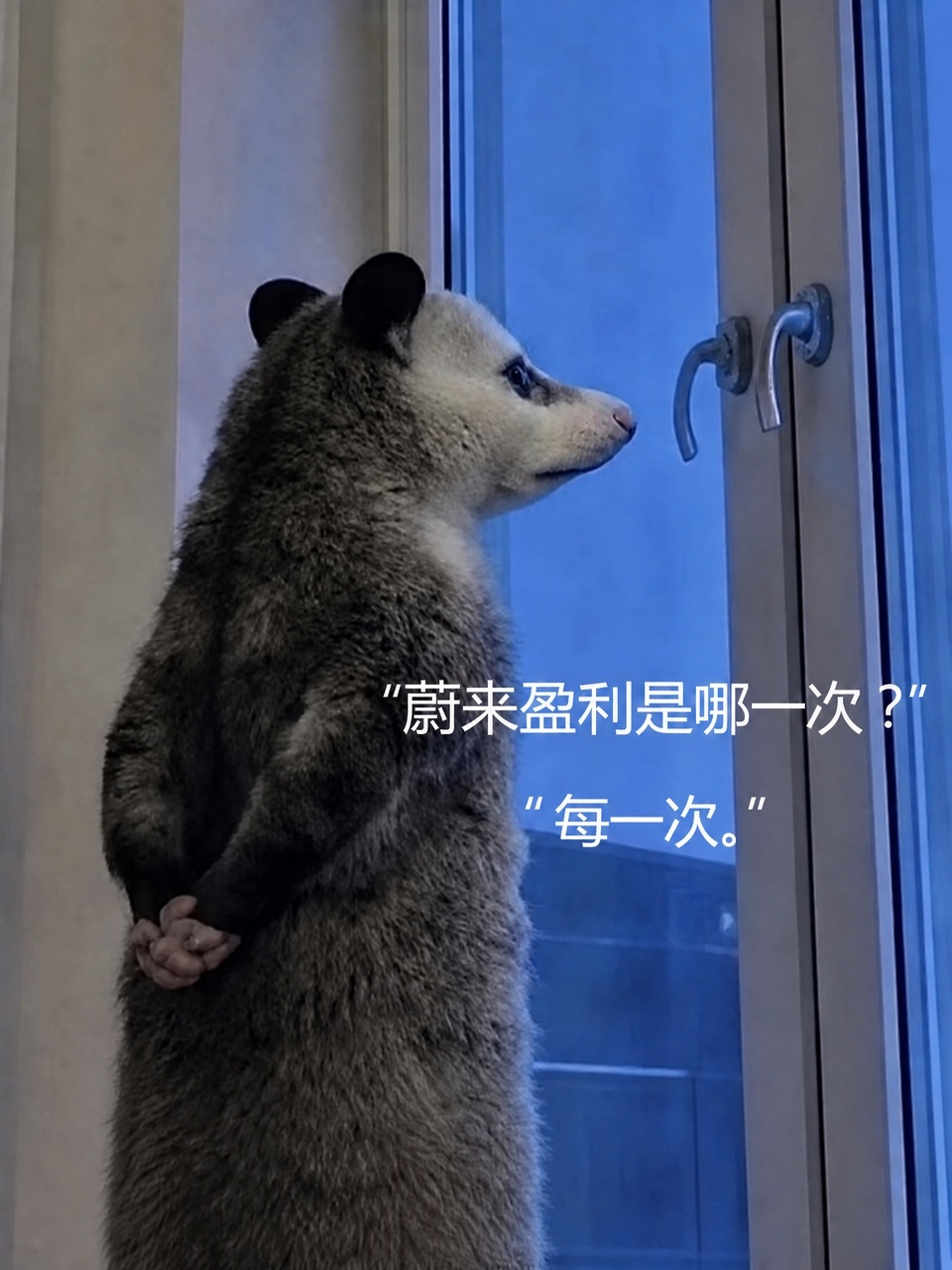 做车企真的不容易啊，人力物力精力全方位无死角投入。蔚来连续两个季度盈利，虽然银码