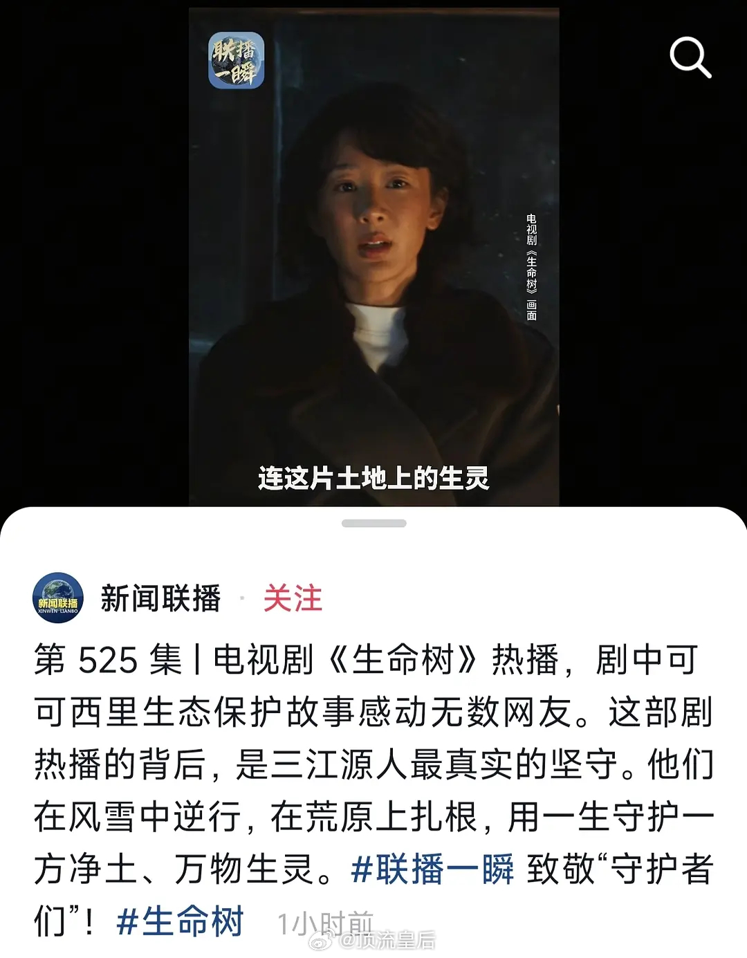 杨紫生命树官媒全肯定。