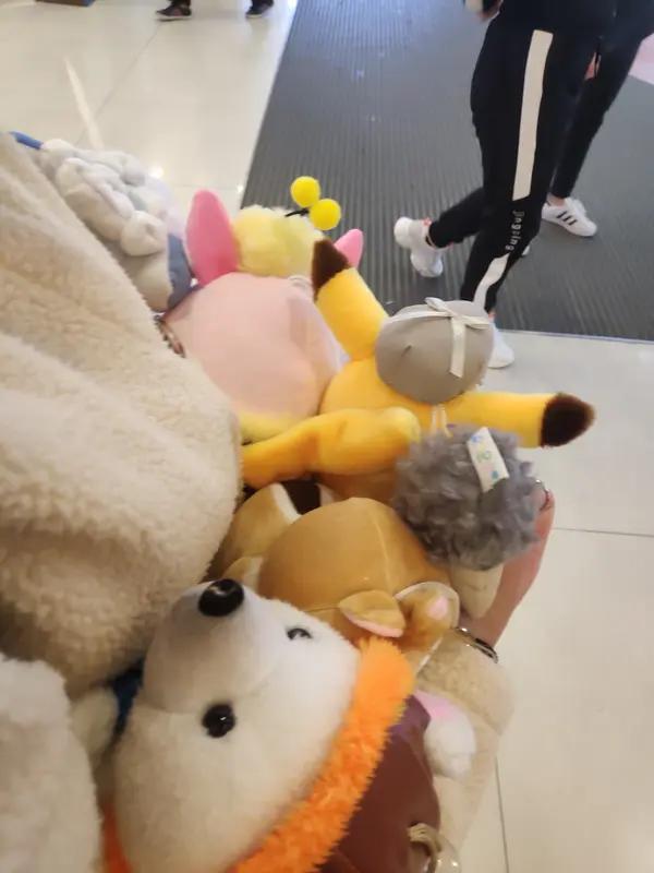 理由让人啼笑皆非
上海一对情侣一个多月内盗走上千个卡皮巴拉萌粒玩偶，却以“爱”为