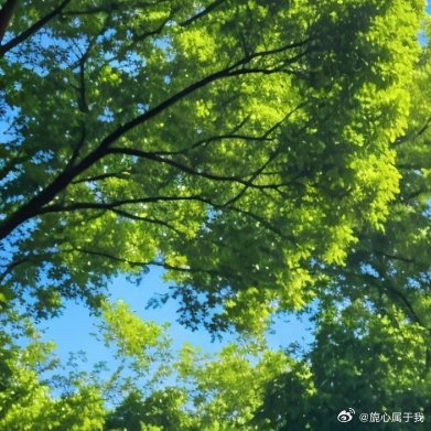 每日一善 在人生的旅程中，每个人的生活都离不开别人的帮助，因为自然界的任何事物都