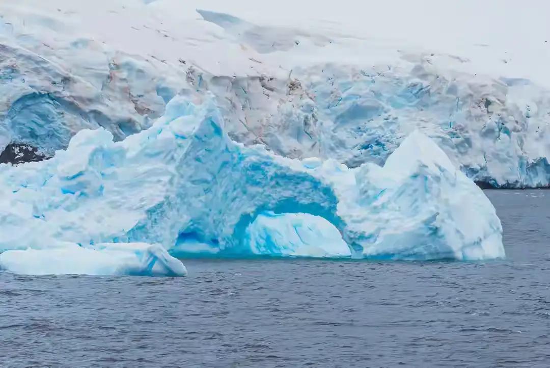 冰封下的生命奇迹：南极冰层下的隐秘江湖

诸位朋友，今儿咱们单说一桩发生在地球最