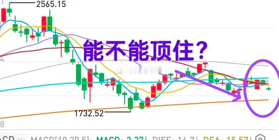 A股：目前只有科创板指数还在年线上方，能挺得住吗？科创板的股价很唯美，业绩却不那