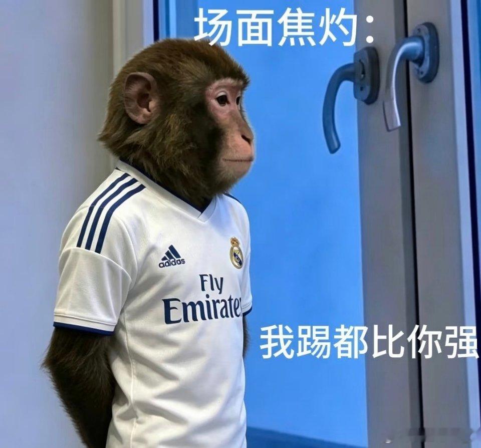 最尊重猴的剧组出现了 年会2我愿称之为史上最尊重猴子的剧组，猴子演猴子还喝咖啡，