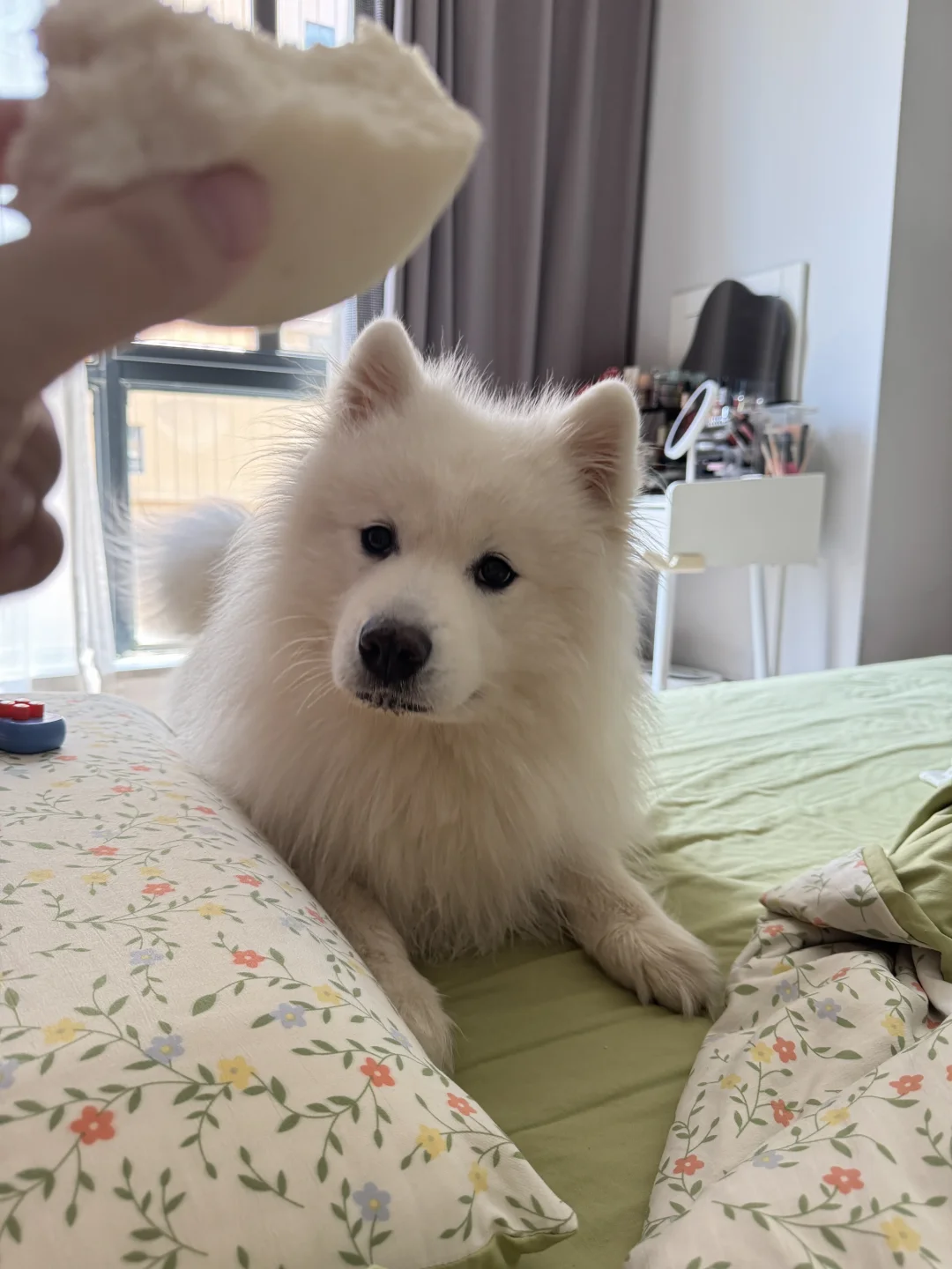 馒头馒头馒头