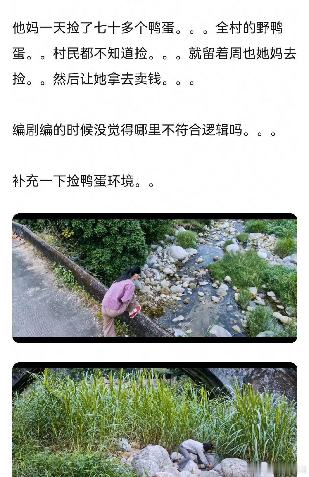 网友吐槽周也、翟潇闻你好1983剧情在野外捡鸭蛋太夸张了，一天捡70多个…不符合