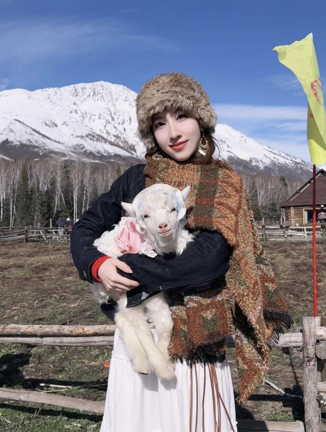 北疆以北是禾木🖼️总要来抱一次小羊吧🐑