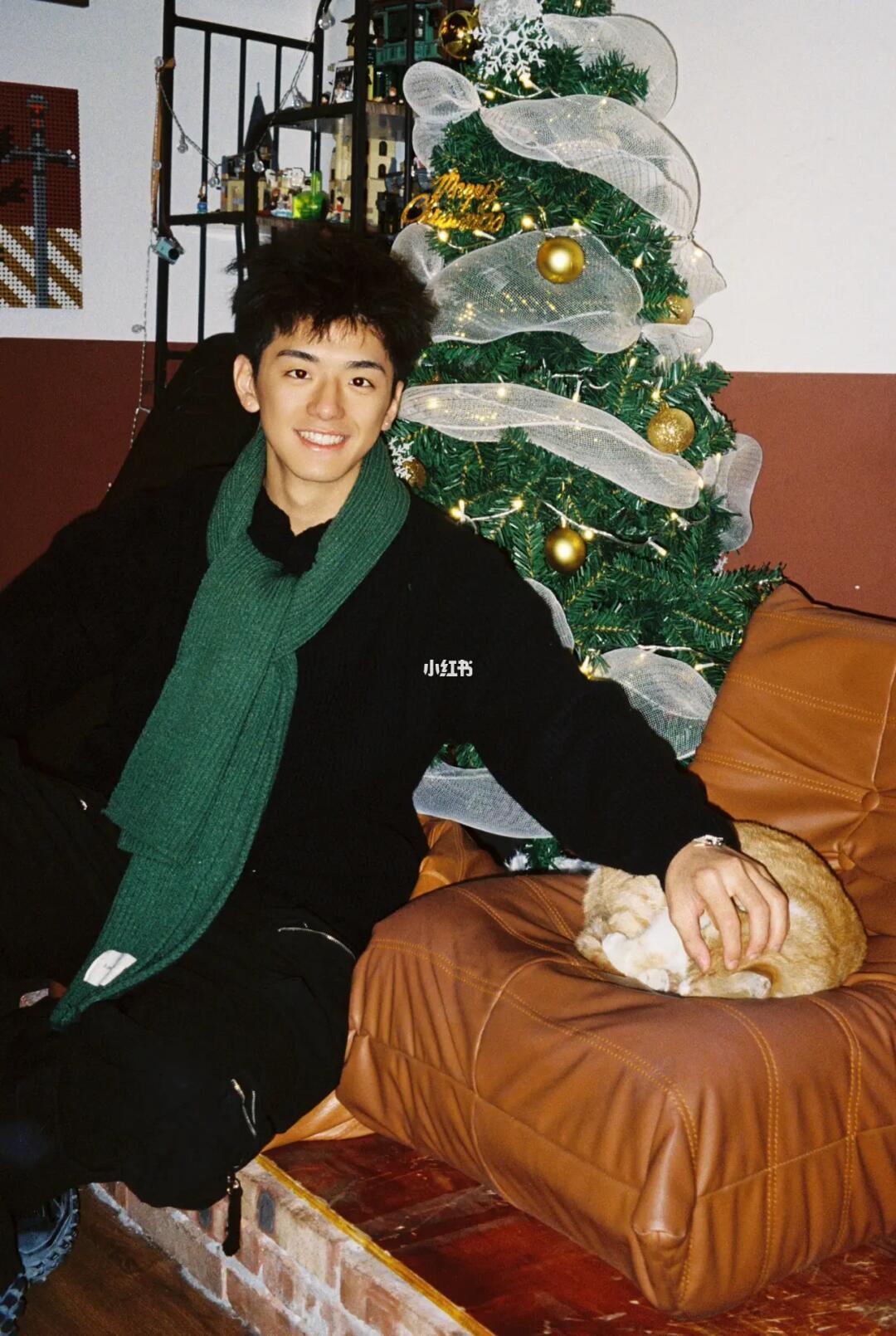 🎄偶遇