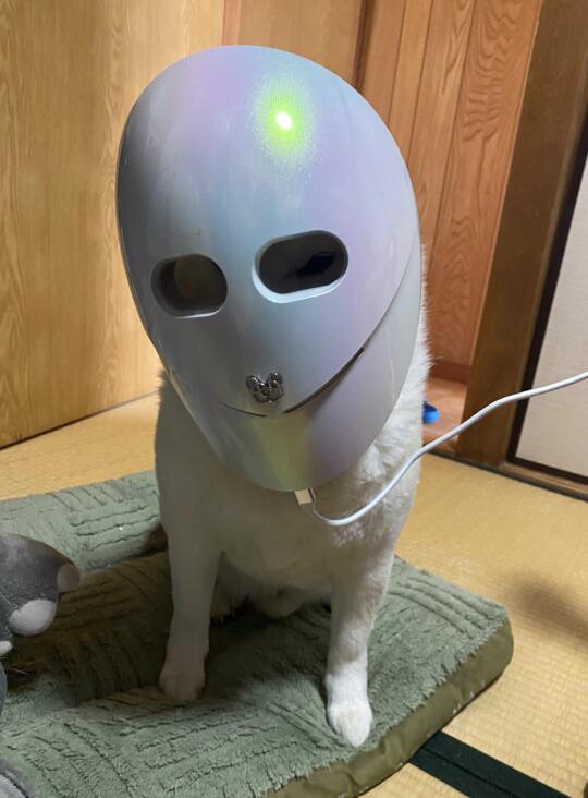 cos jojo