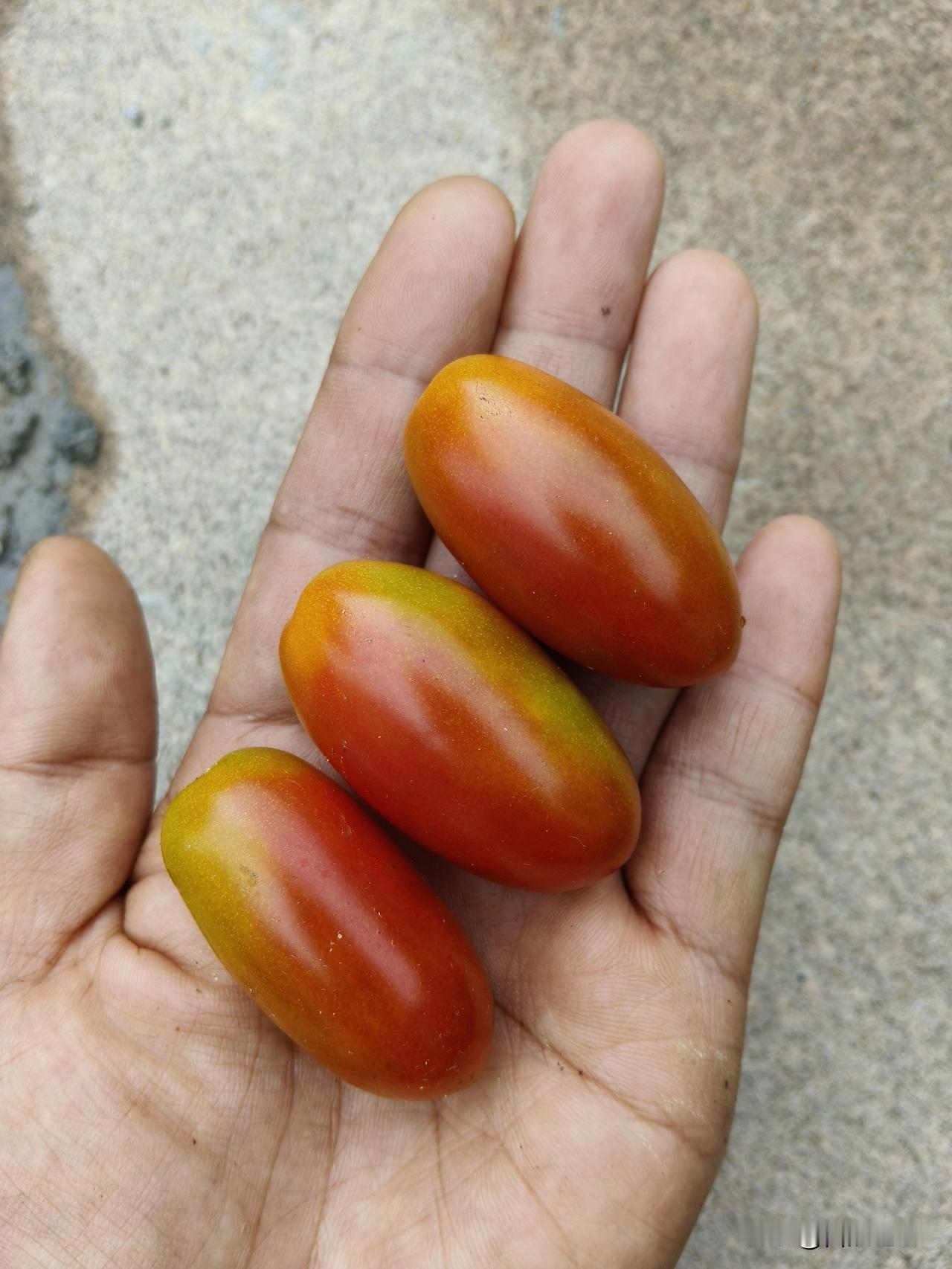 昨天，我内心忐忑，把文章关了小黑屋。

一个小时后，我又信心满满，把它放了出来。