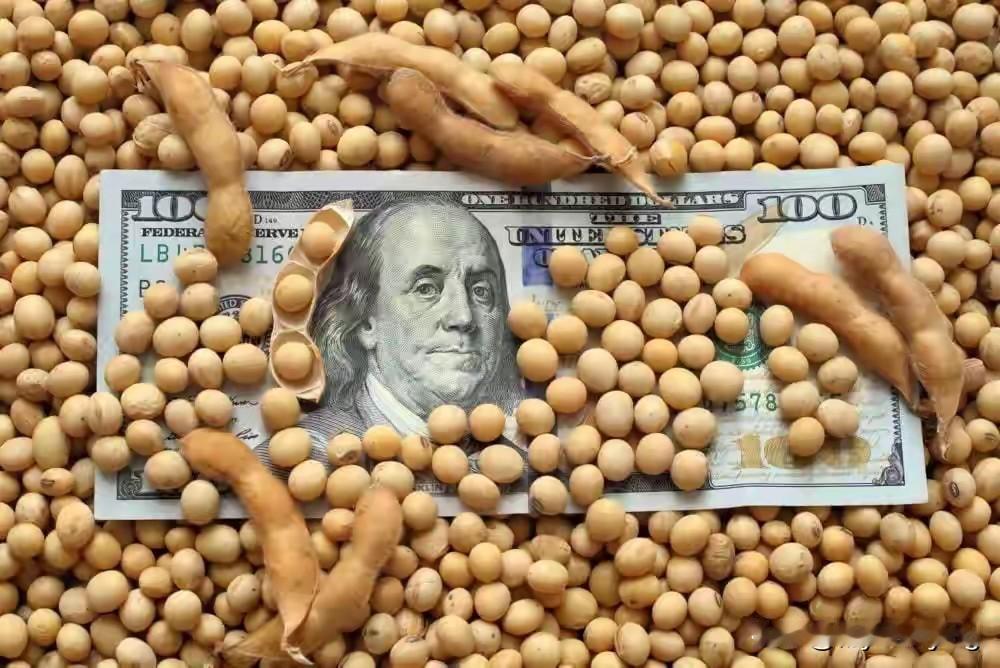 中国目前大豆进口量已超过8000万吨！

据中国海关1-8月数据显示，到目前为止