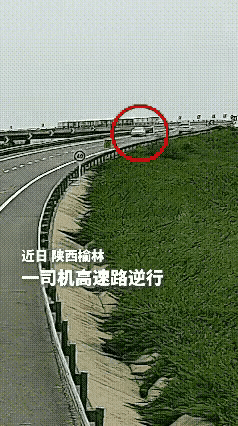 倒行逆施，目无交通规则，必遭法纪报应。