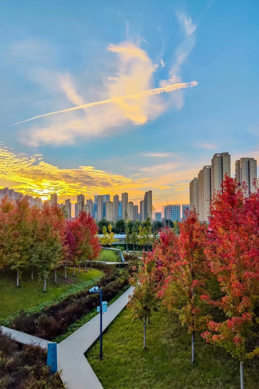 西安赏秋攻略🍁雁南公园的枫叶开的正美。又到了一年一度赏秋的季节了，雁南公园枫叶红了，今年西安雨水太多，好不容易放晴就第一次去这里打卡，当时就被这里的风景震惊了，还遇见了超美的晚霞，没想到在高新南边这里还有这么大的一个公园，颜值巨高，当时的枫叶已经很红了，银杏也些许黄了，而且这里也是拍摄西安锦业路CBD的绝佳视角，这几天会再去一次，也正是秋色最浓的时刻，还没去的朋友，抓紧出发啦！
·
📷打卡机位干货
-建议一定在公园的天桥上行走，每一处都是如油画般美景，银杏和枫叶近在咫尺，拍摄人像很适合。
-草坪的路边有很多芦苇，夕阳下是最适合拍摄的时候
-大片大片的粉黛乱子草也是出片好地方
-各种人行步道上也很出片
·
📍子午大道雁南公园
·
好了，希望大家都能拍出美美的照片呀！
·