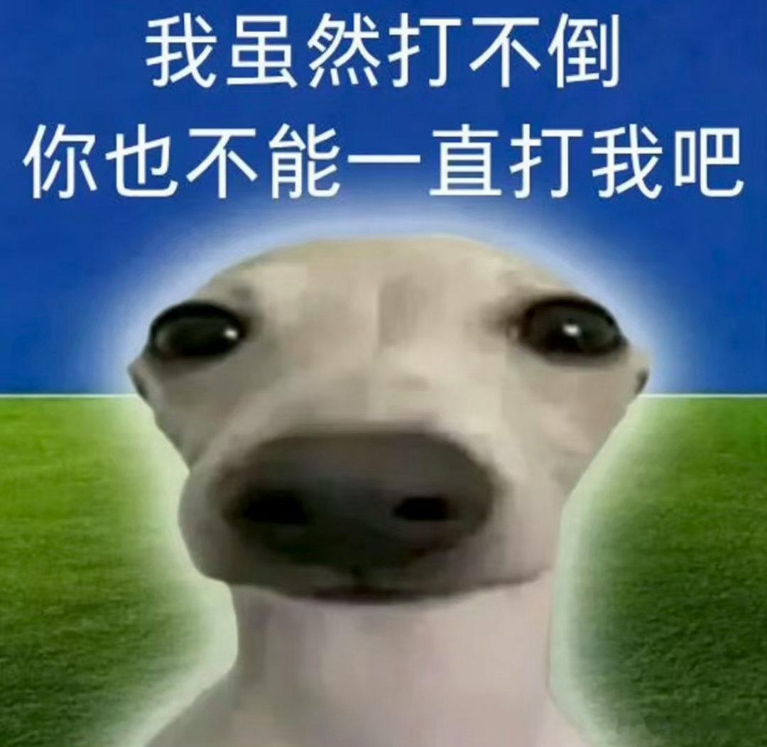 姐妹你说你打女拳怎么光打女的了 