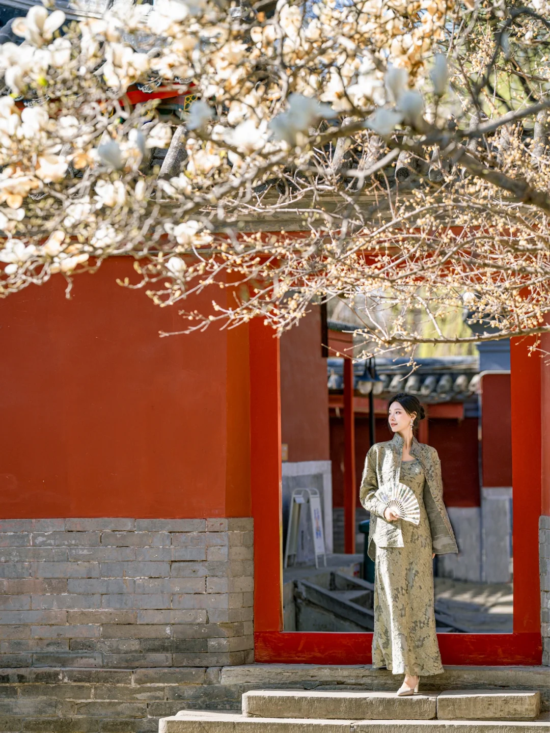 全北京都在等‼万寿寺玉兰盛放💐