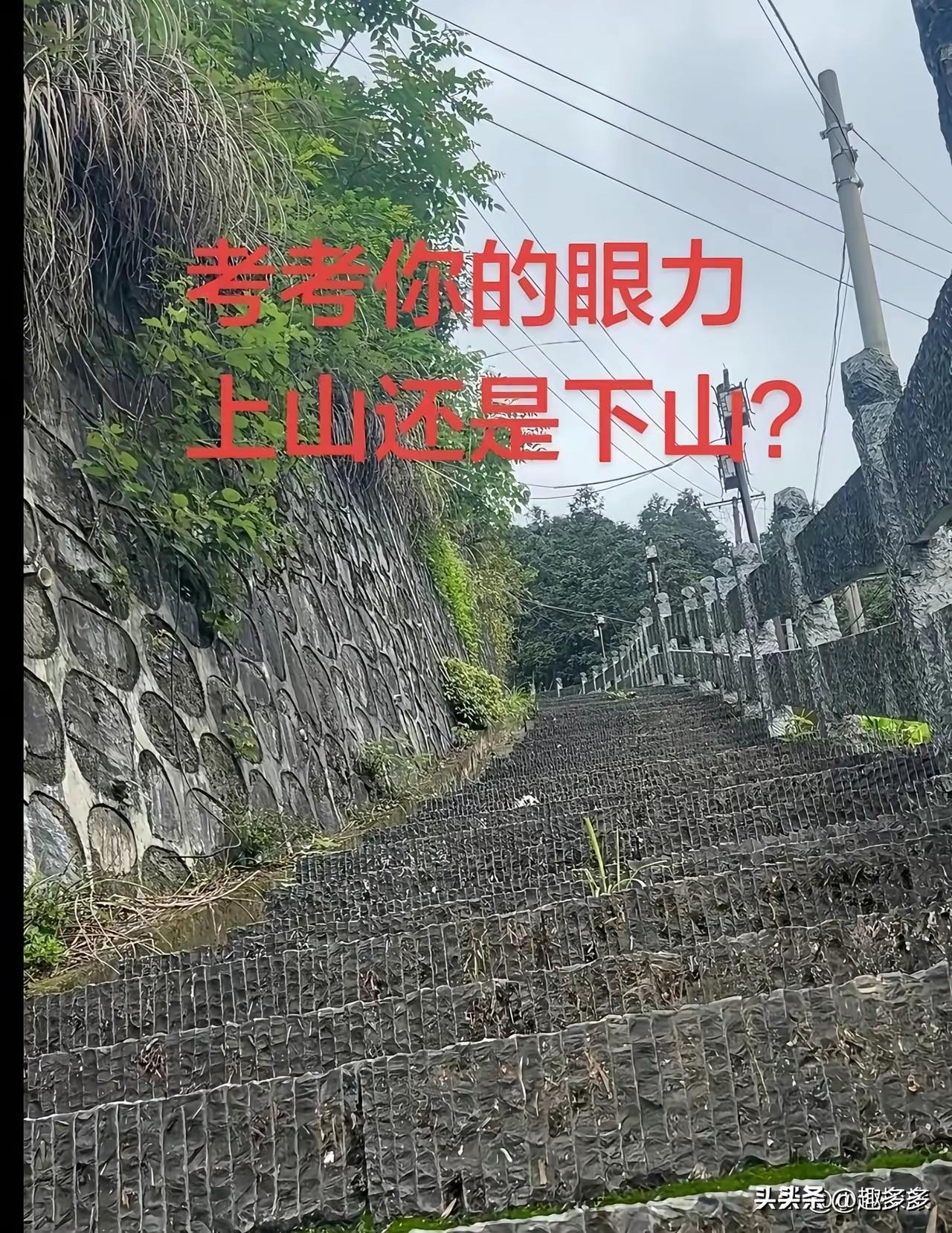 考眼力！不是我吹！问了快200个人了，大部分人上山下山傻傻分不清楚，不信！你试试