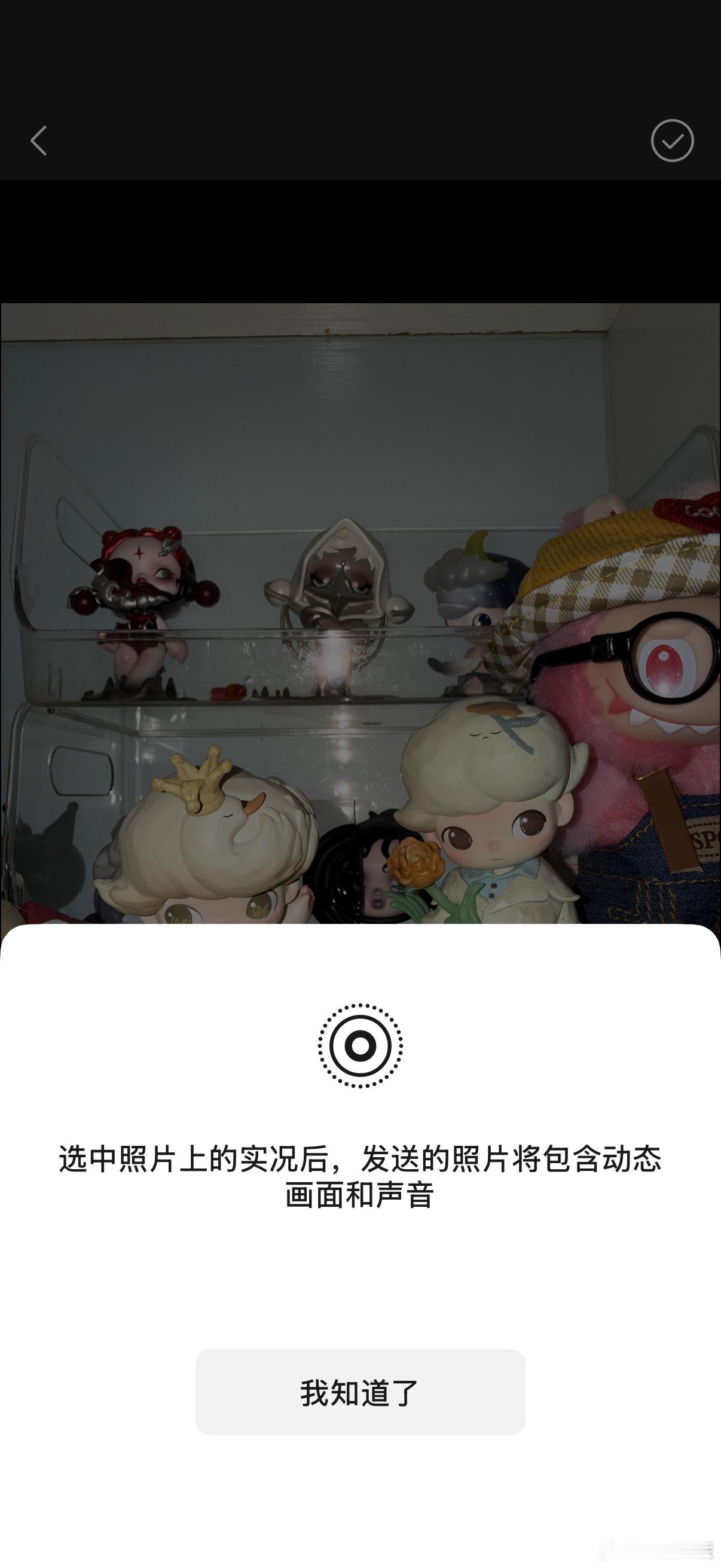 时隔多日我的微信终于可以发送实况照片了[柯基] ​​​