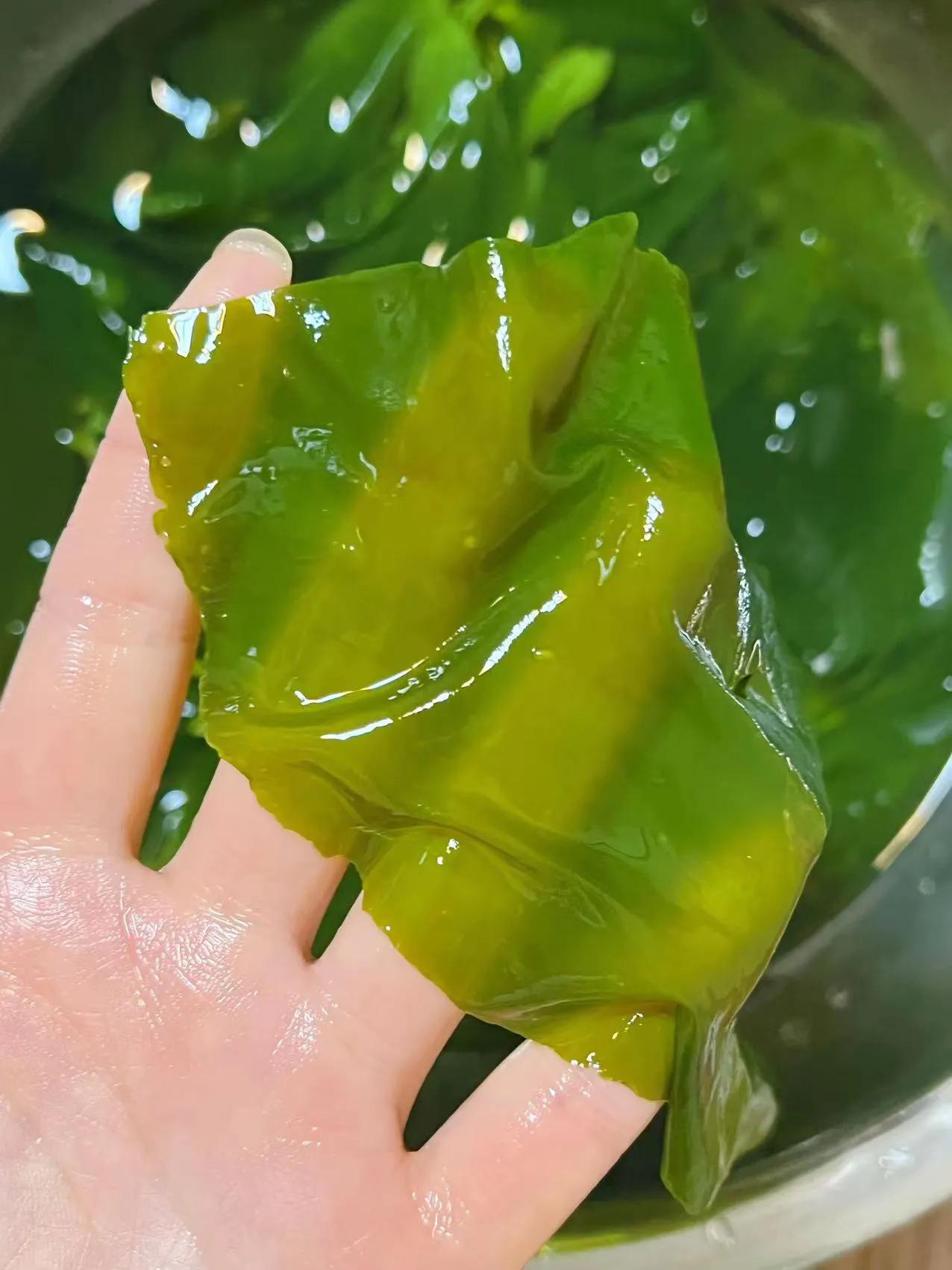 
命宫，就是你的外表，五官，长相，个性，天赋。

紫微，天府，天梁，太阳都是属于