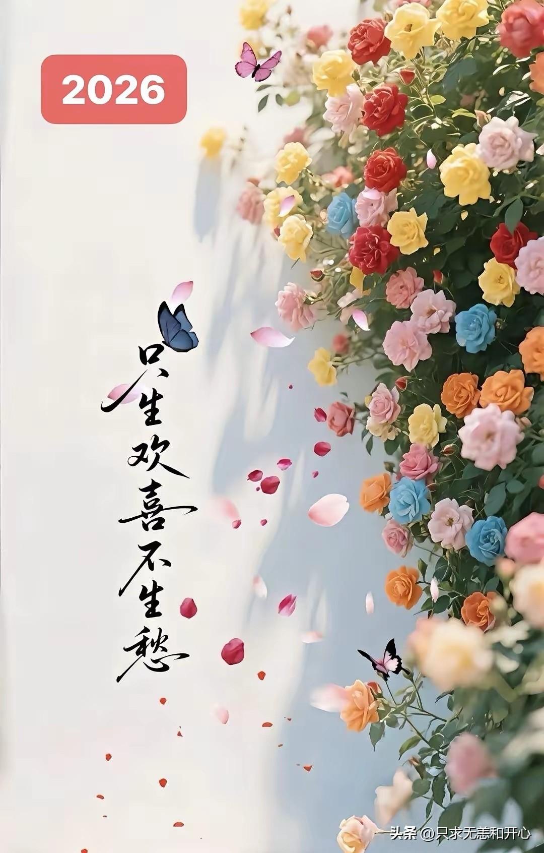 今天老妈被我约法三章。
今天中午还是老样子，吃蒸饺。
正在我忙着弄馅儿包蒸饺时，
