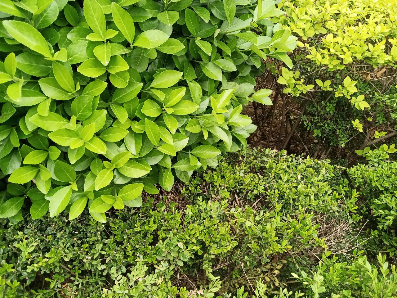 陌生人要用我的手机给他的朋友打电话，我没有借给他，我这样做对吗？如果你遇到这种情