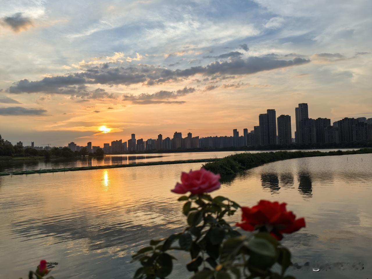 如果我只专注于自己，我会干什么？

我可能会不穿文胸，不受约束。
我可能会不柒头