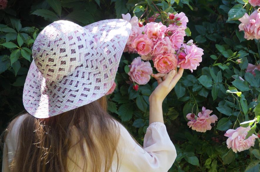 《狐朋狗友墙头草，饭菜再好你喂不饱，请收起你的大方》
很多人吃亏，不是因为不努力