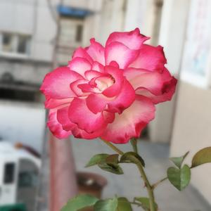 淮南的风淮南的雨