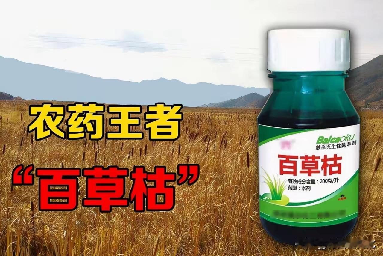 不少人吐槽阿里系业态像行业百草枯，楼下的盒马就让我深有体会。明明贴着高端生鲜标签
