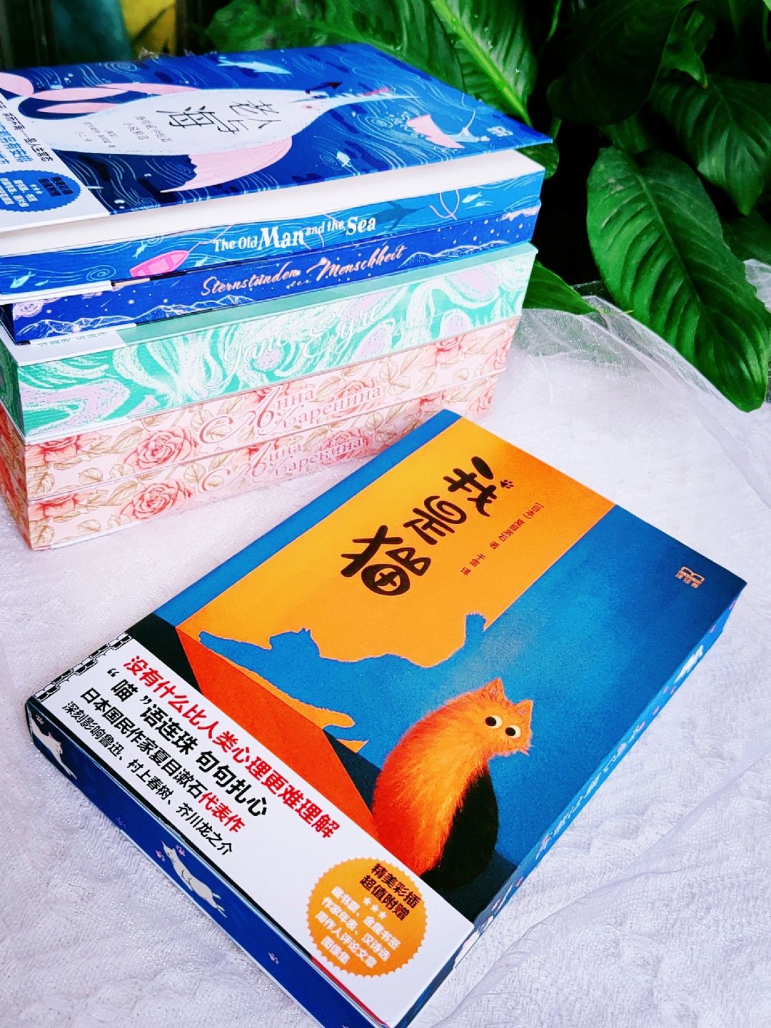 译经典|快看看你在喵主子眼里是什么形象?