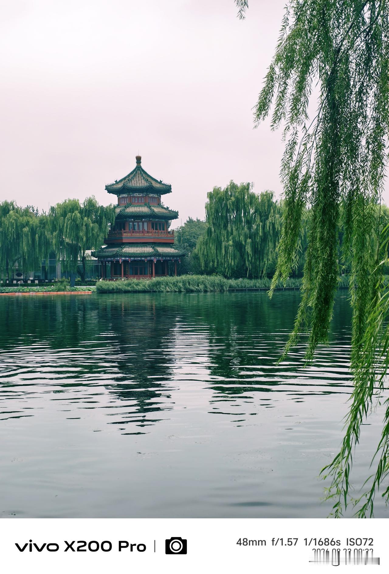 出伏的北京，酷暑渐渐退，迷人的什刹海风光，绿柳环抱“望海楼”，随手一拍，绿意盎然