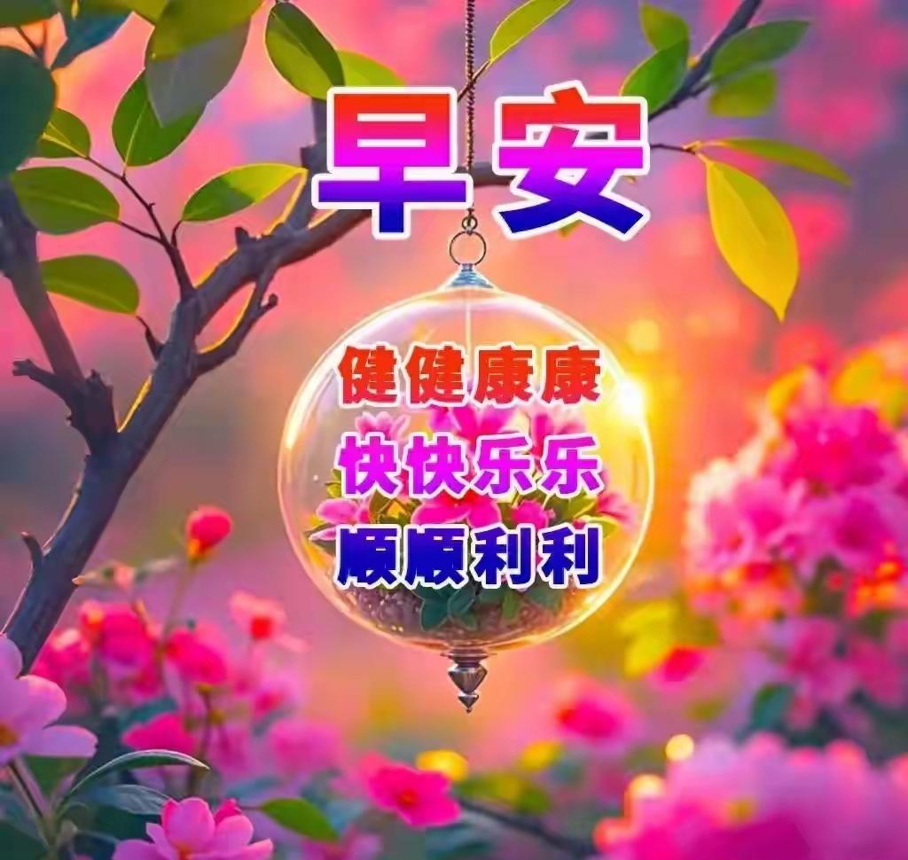 分享早上的祝福语早安！正月初六，送穷神迎福运，启新程接财气✨丙午马年，愿你策马扬