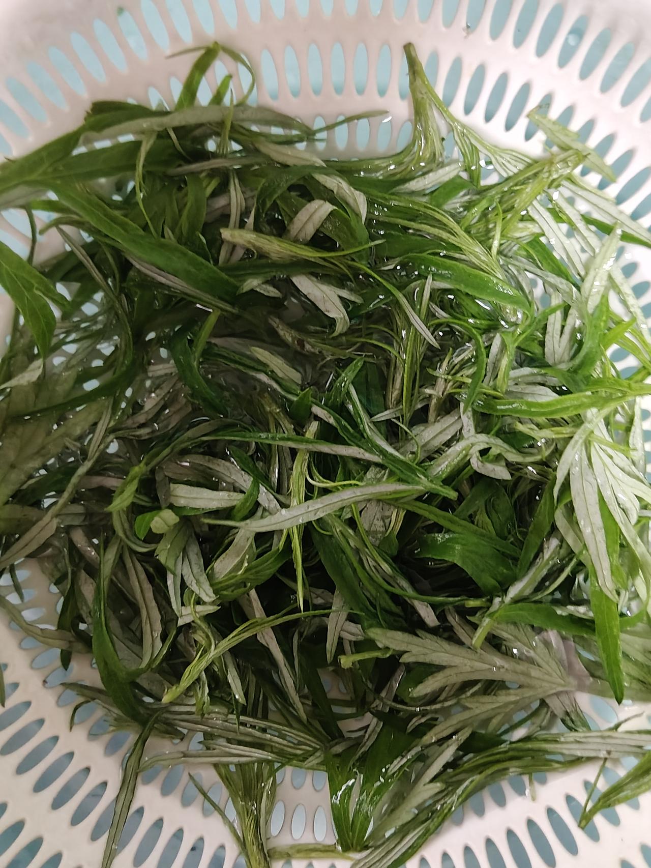 艾草嫩尖摊鸡蛋
今儿傍晚到楼前掐了点儿艾草嫩尖，晚饭做了一个艾草摊鸡蛋。
具体做